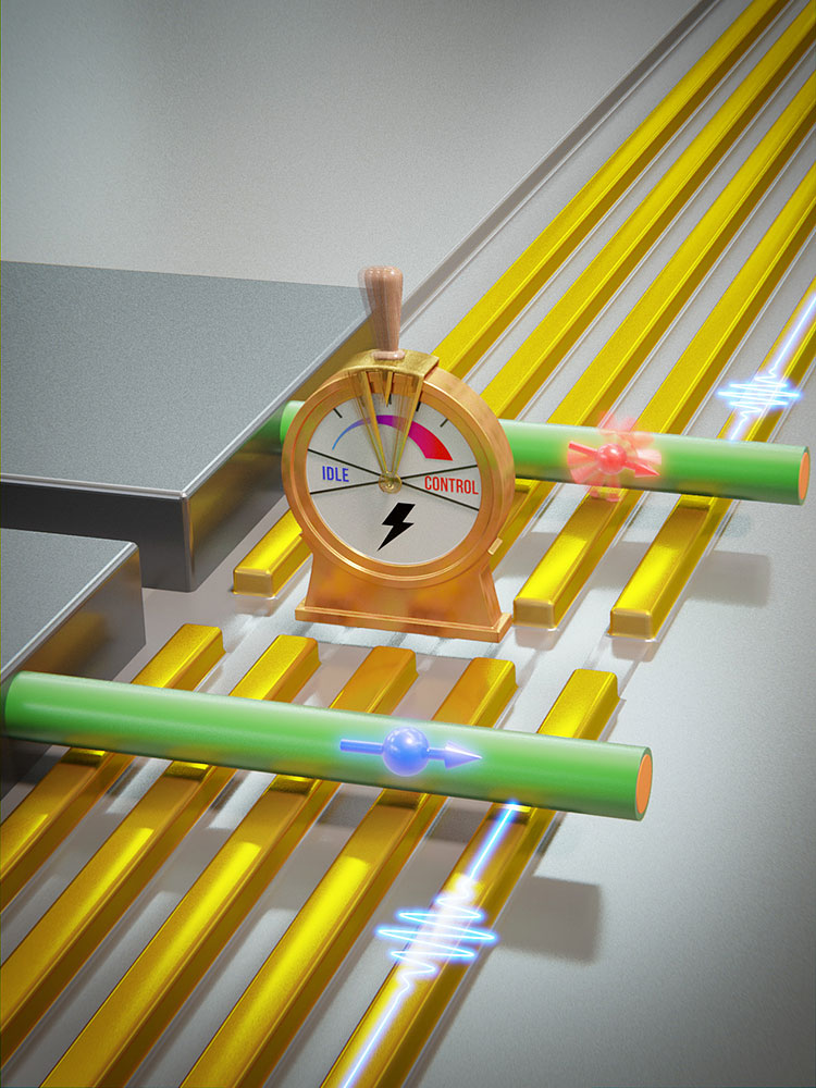 Electrically switchable qubit