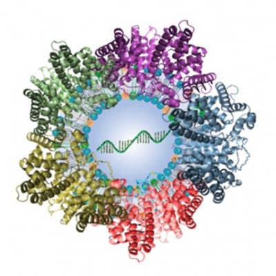 Illustration of a lipid nanoparticle surrounded by plasma proteins