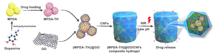 The design of MPDA@GO/CNF encapsulation structure