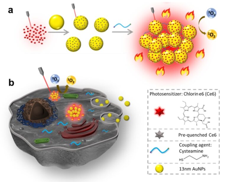 imaging and phototherapy capability of aggregated Ce6 conjugated gold nanoparticles