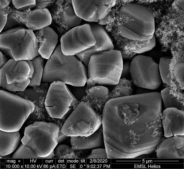 Single crystals viewed under the scanning electron microscope.