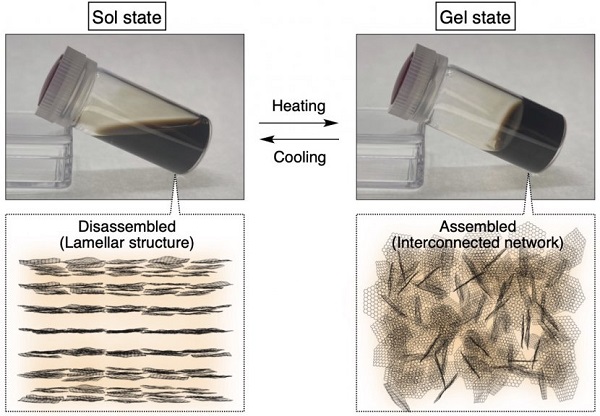 GO nanosheets with tetrabutylammonium countercations undergo a sol–gel transition upon heating, moving from a disassembled lamellar structure to an assembled interconnected network. This technology can be harnessed as a direct writing ink for constructing three-dimensionally designable gel architectures.