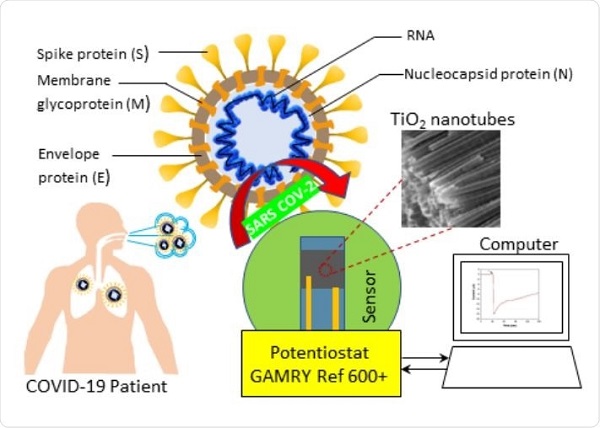 Schematic of Co functionalized TNT based sensing platform for the detection of SARS-CoV-2