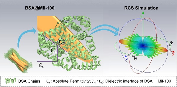 The results uncover intricate structural parameters, particularly protein cage thickness, and their impact on electromagnetic properties. The present exploration dissects their role in shaping dielectric properties and achieving optimal impedance matching, shedding light on structural mechanisms that contribute to the material's radar cross section (RCS) absorption performance.