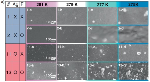 HAADF-STEM images of replica films prepared from samples