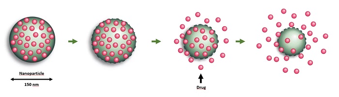 NaDeNo is developing a technology by which small-molecule drugs that are normally difficult to deliver to body organs are embeded in tiny nanoparticle carriers. After injection, the nanoparticles carry the drug effectively to its target where the particles are degraded, gradually releasing the drug at the correct location.