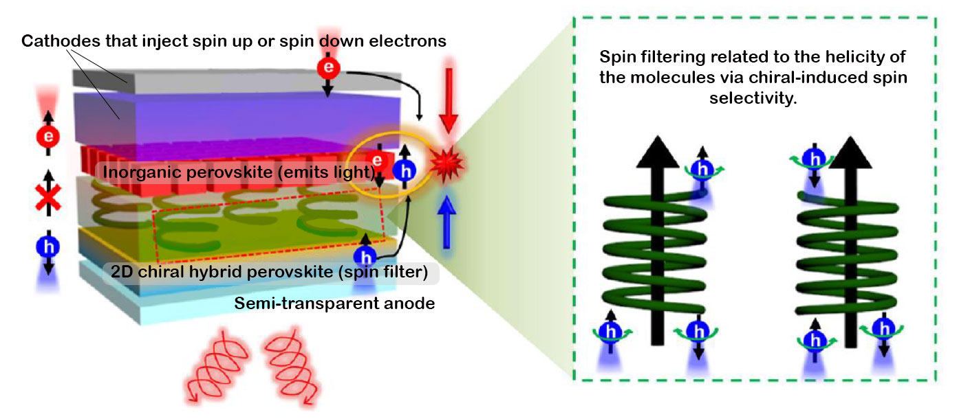 organic-inorganic layer