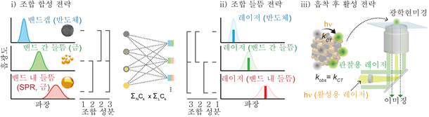 Schematic diagram of the strategy for evaluating catalytic activity at the single particle level