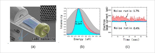 SEM image of the LaB6 nanowire-based electron source