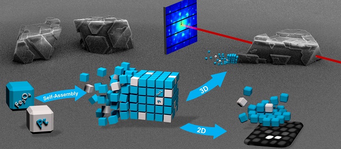 Mesocrystals are formed by self-organization of nanocrystals, in this case platinum and magnetite nanocubes, into superordinate, highly organized structures