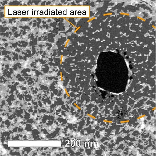 graphene film observed by scanning transmission electron microscopy