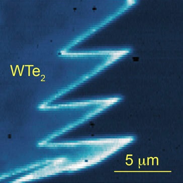 The bright zigzag lines indicate conduction features precisely at the edges of the monolayer WTe2