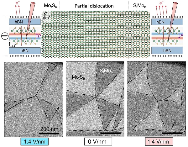 2D semiconductors with built-in memory functions