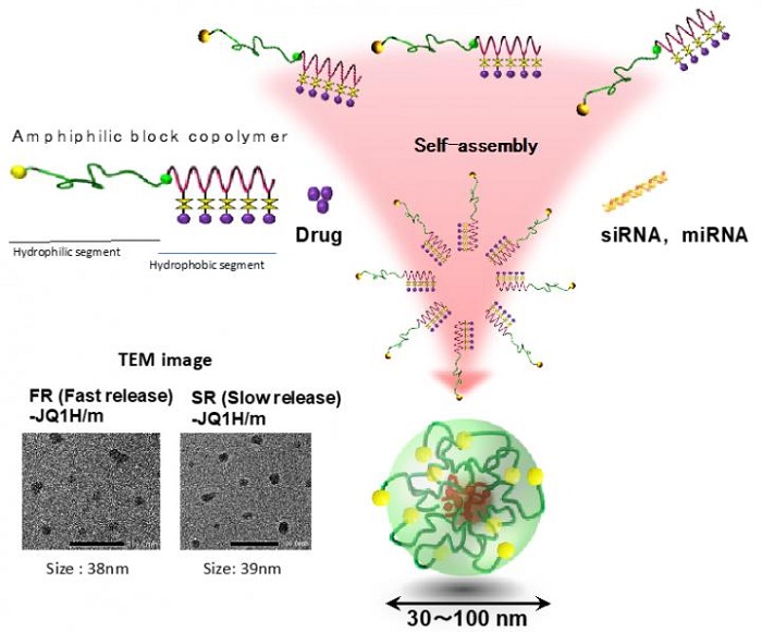 Polymeric micelles were one of the first polymer self-assemblies reported as a nano-DDS