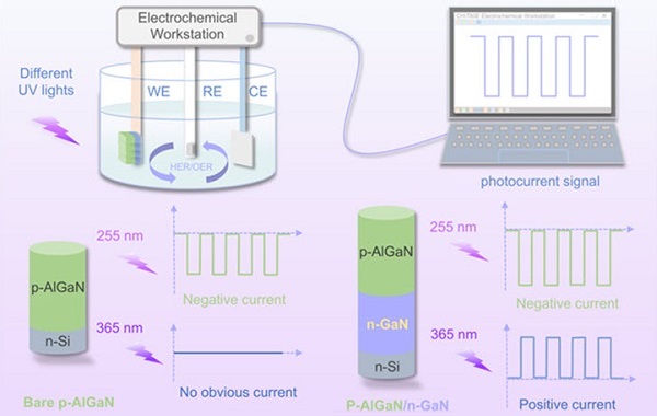 Working diagram, working mechanism, and photocurrent signal of the p-AlGaN/n-GaN based PEC UV PD under different wavelengths.