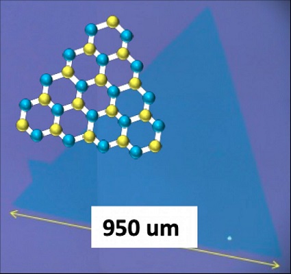 Typical monolayer and single crystal WS2