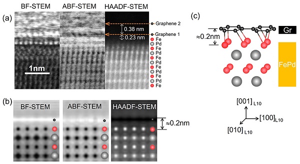 Cross-sectional scanning tunnel electron microscopy (STEM) observations using three different detectors affording bright-field