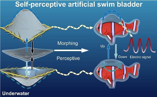 The self-perspective artificial swim bladder perceives the ambient environment