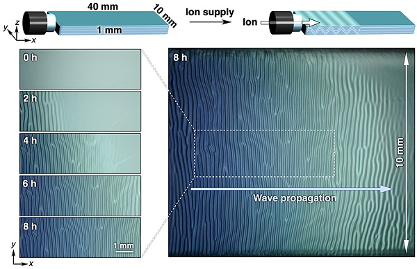 Propagation of the wave through the material following the influx of ions