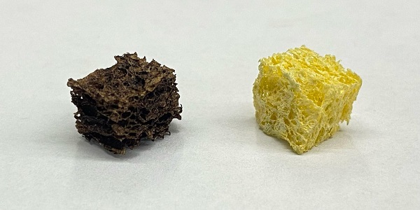Sponge coated with nanoparticles (left) next to an uncoated cellulose sponge