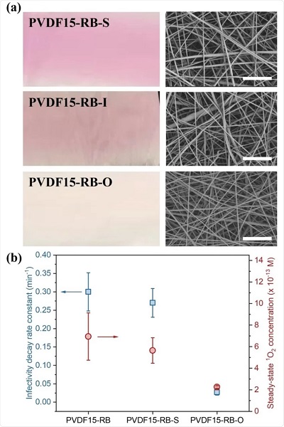 (a) Photos and SEM images of PVDF15-RB membranes after aging. (b) first-order decay rate constants of MHV-A59 infectivity in droplets