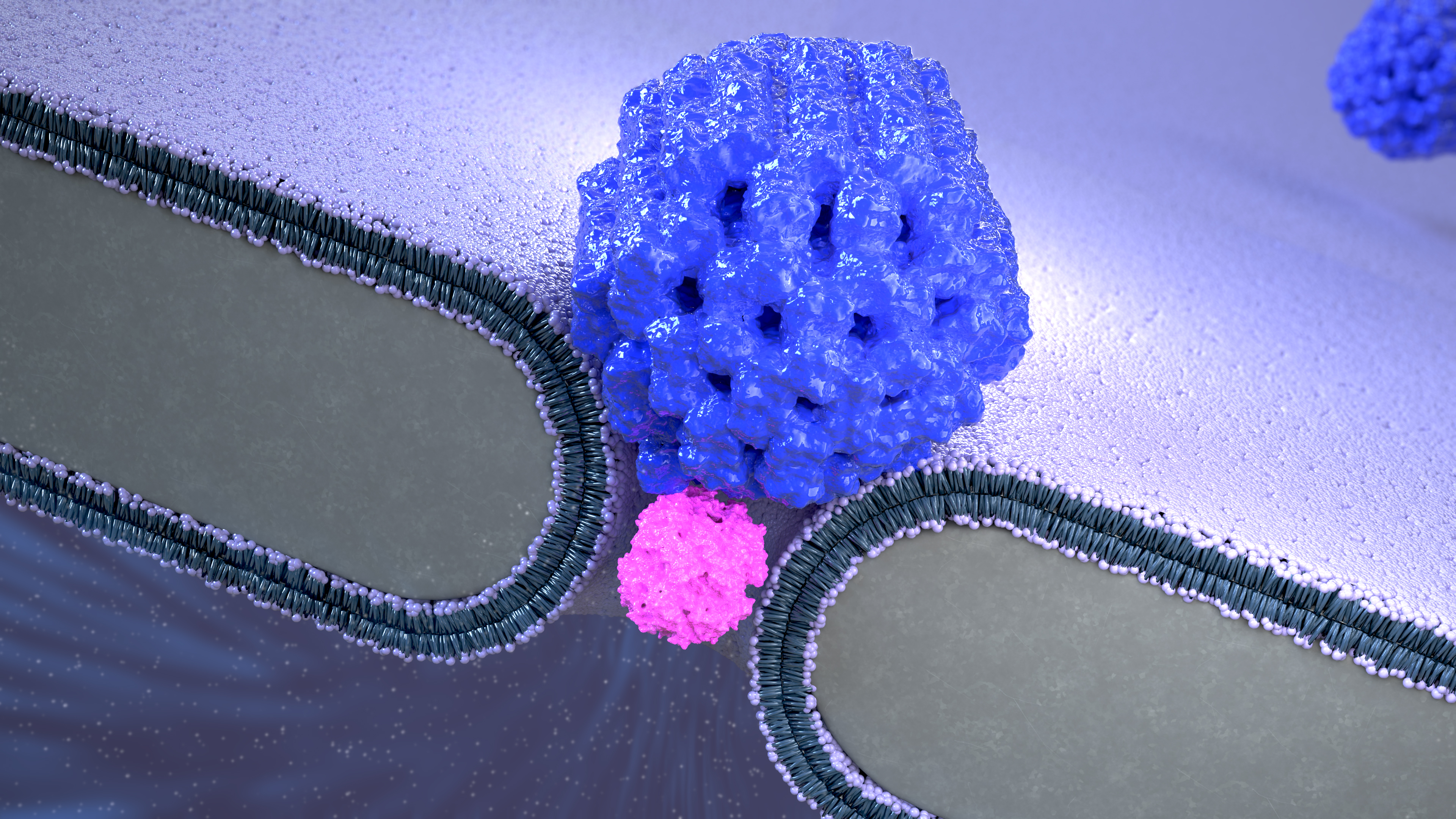 Artist impression of the Nanopore Electro-Osmotic trap (NEOtrap)