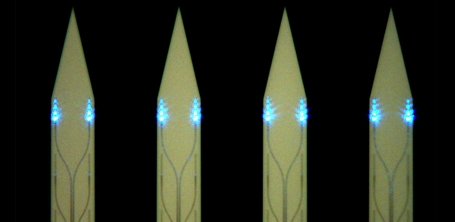 Optical microscope image of the implantable shanks