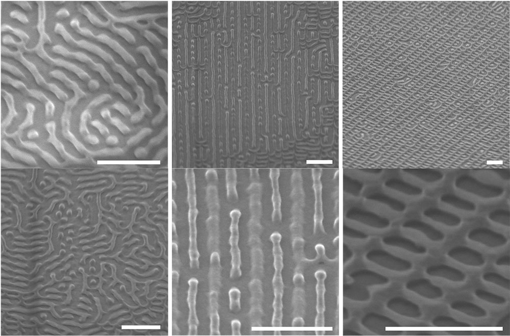 depict novel nanostructures