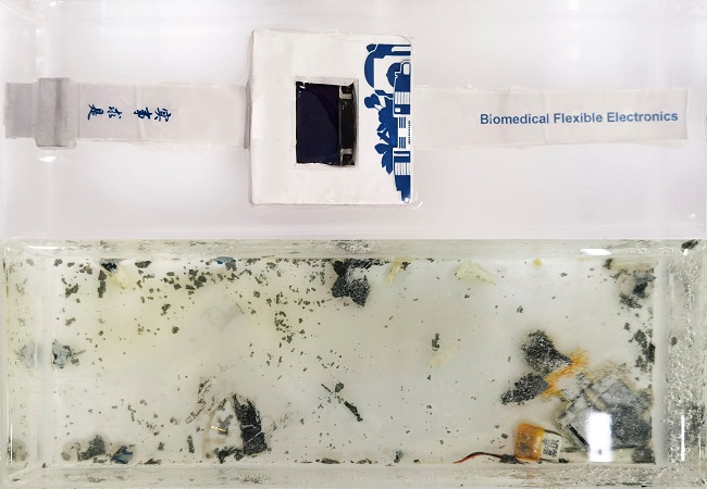 A prototype smartwatch made with zinc-silver nanocomposite circuits inside a poly(vinyl alcohol) case (top) dissolves in water within 40 hours (bottom)