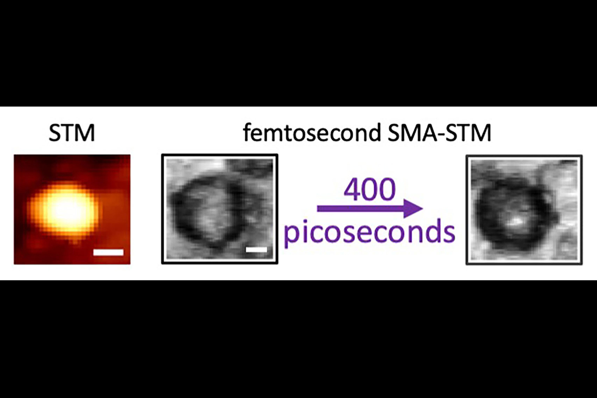 The ordinary scanning tunneling microscopy image of a carbon dot