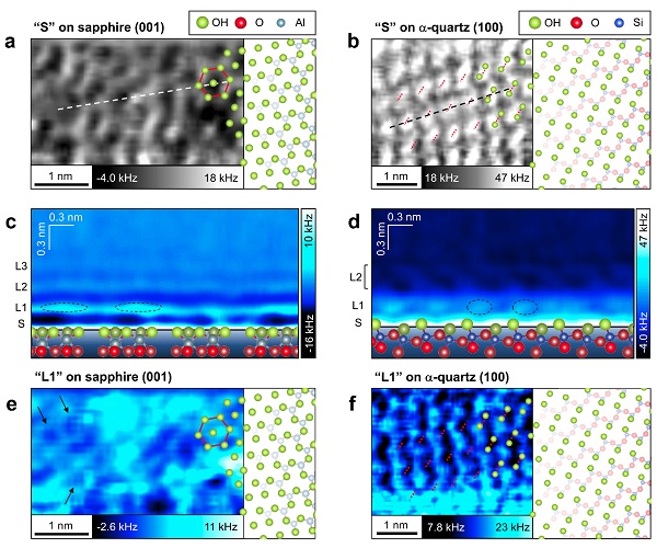 Top. Atomic-scale structures of the (a) sapphire and (b) α-quartz surfaces in water