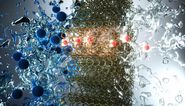 Small-diameter carbon nanotubes that pass through water molecules (red and white) and reject ions (blue)