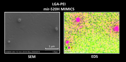 LGA-PEI nanoparticles enveloping therapeutic nucleic acid miR-520h mimic