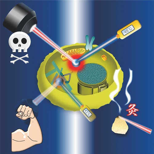 Thermodynamic Cell Engineering: Creating a tiny heat spot enables to regulate cellular functions