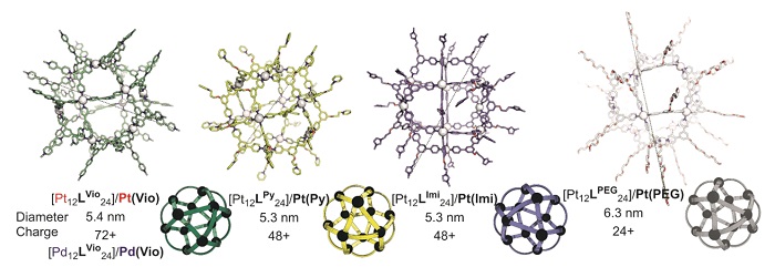 Four Pt12L24 nanocage structures investigated in the study, using platinum and a variety of ligands