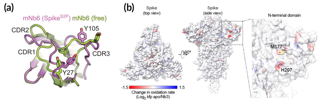 Crystallography data from the ALS show atomic-level details of key Nb6 regions