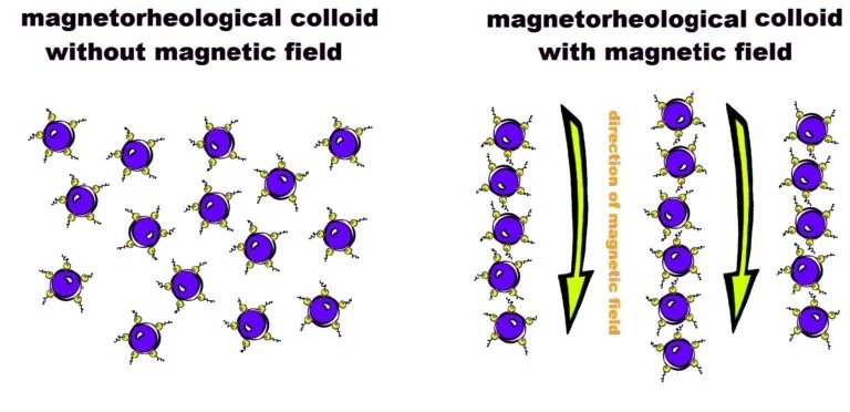 The colloidal suspension of magnetic particles dispersed