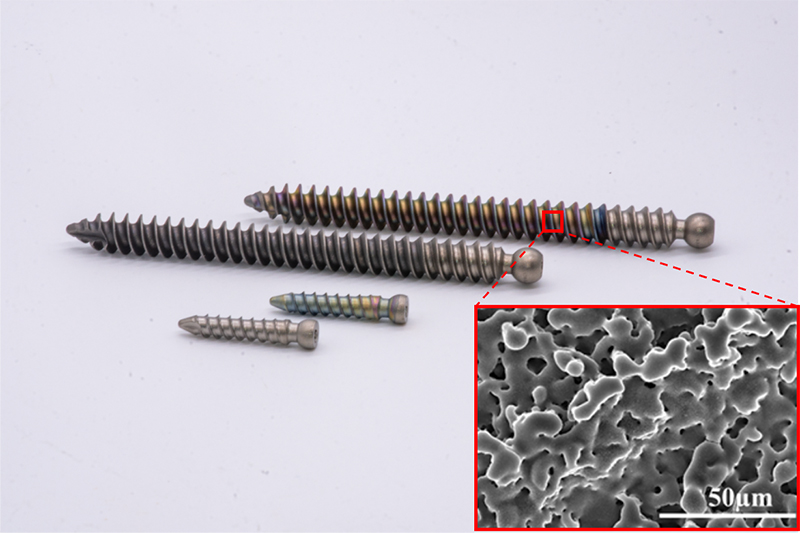 Titanium orthopedic screws with and without silver immobilized onto their implant surfaces