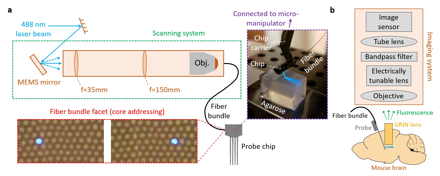 Optical addressing method and proposal for deep-brain photonic-probe-enabled light-sheet fluorescence microscopy (LSFM)