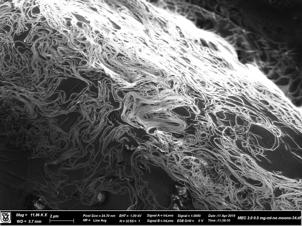 A spaghettilike tangle of carbon nanotubes seen in a microscope image will no longer be an issue when processed with a solvent developed at Rice University