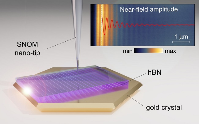 Nano-tip is used for the ultra-high-resolution imaging of the image phonon-polaritons in hBN launched by the gold crystal edge.