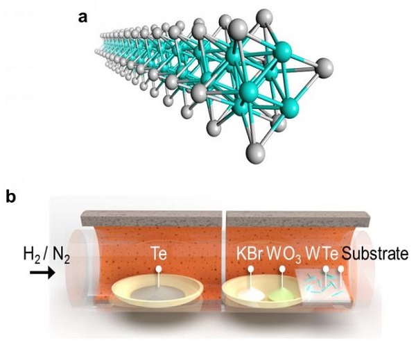 (a) Illustration of a TMC nanowire (b) Chemical vapor deposition.