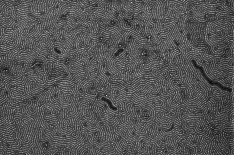 smallest ribbons of graphene