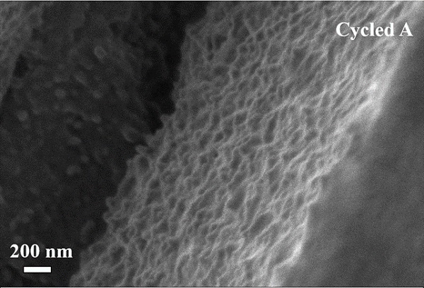 SEM image of the cross-section of the optimal Si film electrode after cycling