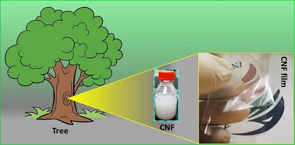 Strong but thin transparent films made from cellulose nanofibers with wide applicability