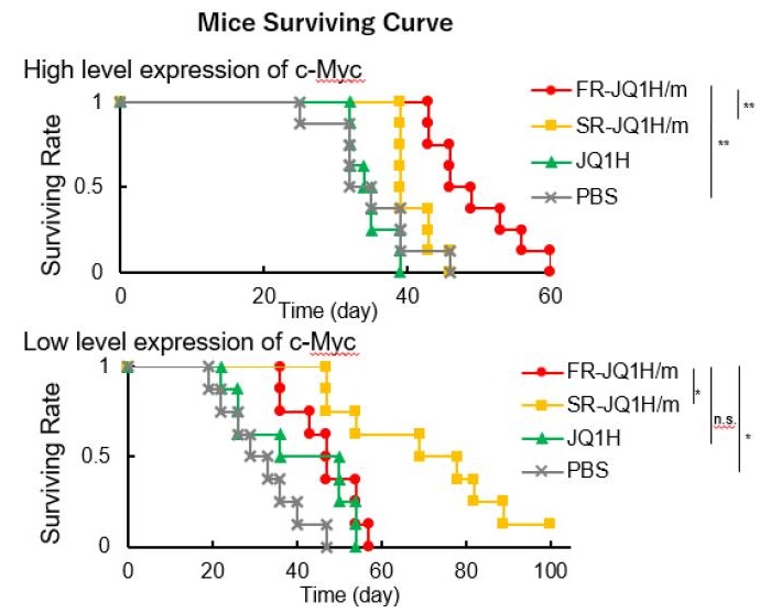 Anti-tumor efficacy of FR-JQ1H/m and SR-JQ1H/m depending on the expression level of c-Myc