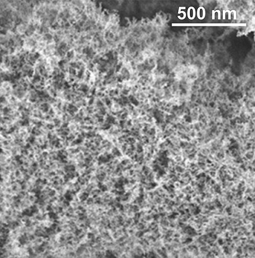 Image of the sponge-​like internal structure of the aerogel