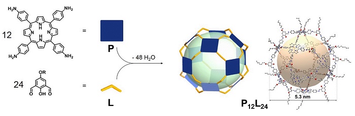 Design, synthesis and dimensions of the gigantic porphyrin cage P12L24