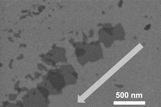 Particles of mechanically sheared flash boron nitride, as seen through a scanning electron microscope