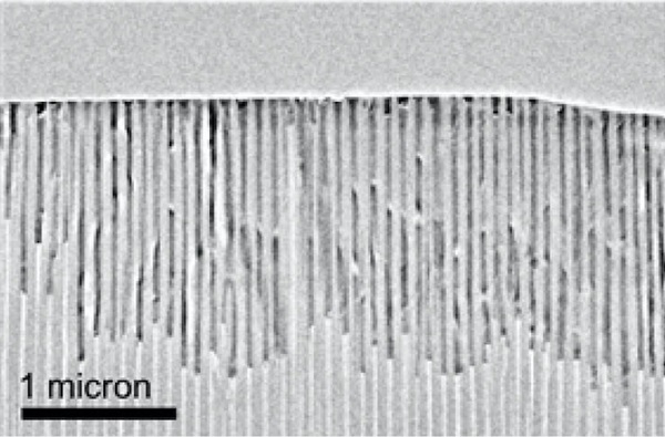 Nanomolded tin telluride nanowires in an anodic aluminum oxide mold